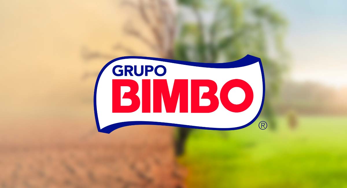 Recentemente, o Grupo Bimbo abriu novas vagas de emprego, veja quais são as vagas. Foto: Reprodução/ Web