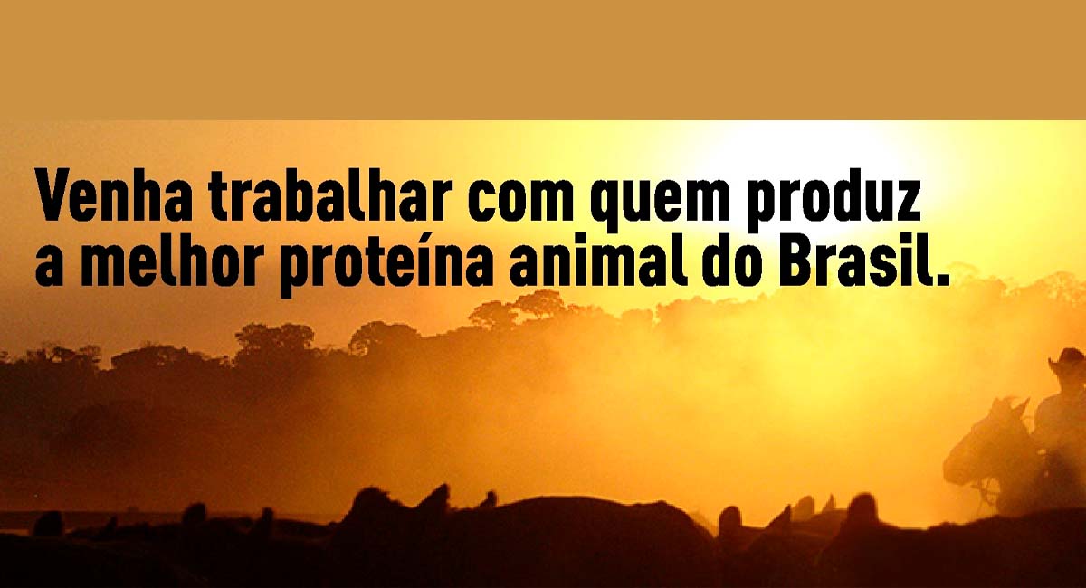 O Grupo VPJ Alimentos está em busca de novos profissionais para a sua equipe, veja as vagas. Foto: Reprodução/ Web